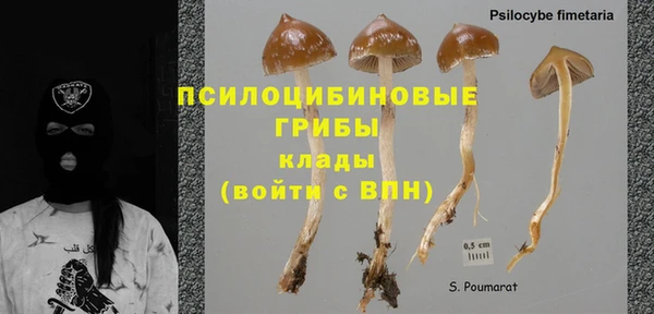 дживик Яровое