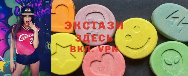 индика Щигры