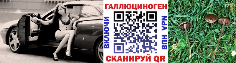Галлюциногенные грибы Psilocybe  Хасавюрт 